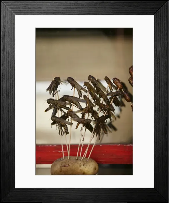 Framed Print : Chinese food, crickets, Beijing, China, Asia Framed Print : Chinese food, crickets, Beijing, China, Asia