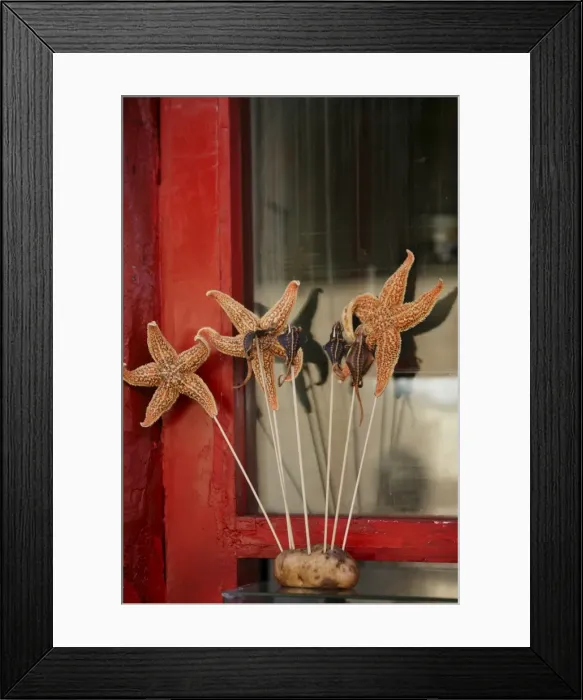 Framed Print : Chinese food, starfish, Beijing, China, Asia