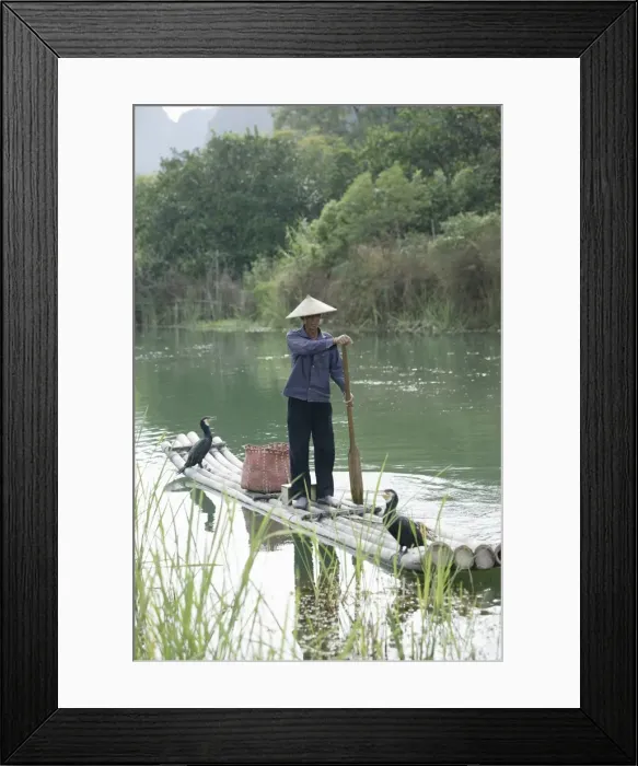 Framed Print : Fisherman with cormorants, Yangshuo, Li River, Guangxi Province, China, Asia