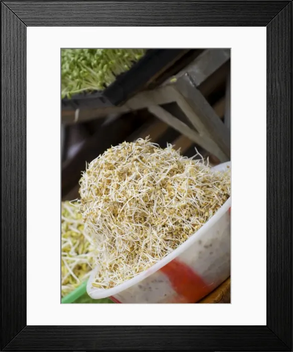 Framed Print : Beansprouts outside restaurant, Lijiang old town, Yunnan, China, Asia Framed Print : Beansprouts outside restaurant, Lijiang old town, Yunnan, China, Asia