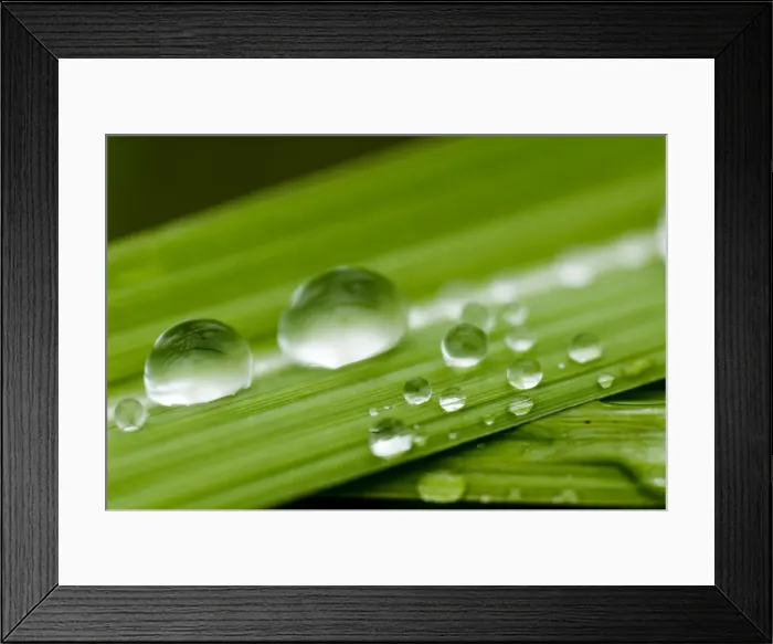 Framed Print : Water droplets on grass, Dali, Yunnan, China, Asia Framed Print : Water droplets on grass, Dali, Yunnan, China, Asia