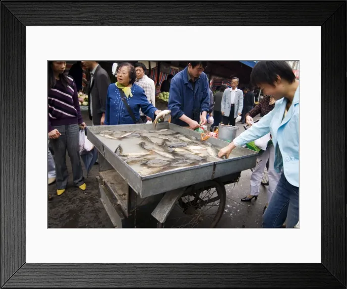 Framed Print : Woman buying fresh fish at market, Xining, Qinghai, China, Asia Framed Print : Woman buying fresh fish at market, Xining, Qinghai, China, Asia