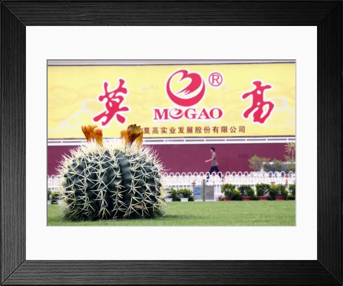 Framed Print : Giant plastic cactus, Lanzhou, Gansu, China, Asia Framed Print : Giant plastic cactus, Lanzhou, Gansu, China, Asia