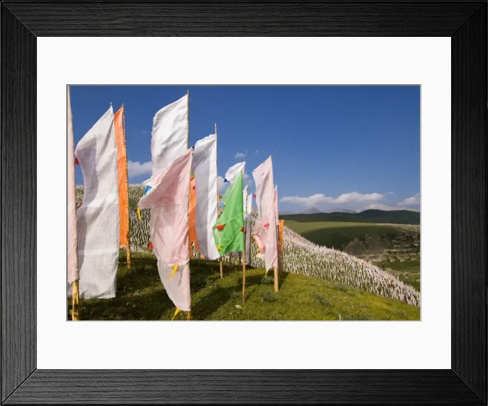 Framed Print : Prayer flags on hillside, Tagong Grasslands, Sichuan, China, Asia