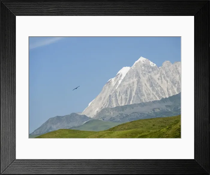 Framed Print : Snow mountain and eagle, Tagong Grasslands, Sichuan, China, Asia Framed Print : Snow mountain and eagle, Tagong Grasslands, Sichuan, China, Asia