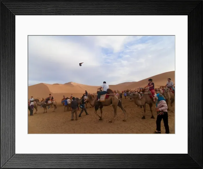 Framed Print : Camel trekking, Whistling Dune, desert, Dunhuang, Gansu, China, Asia Framed Print : Camel trekking, Whistling Dune, desert, Dunhuang, Gansu, China, Asia