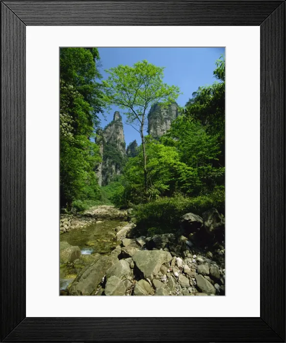 Framed Print : Limestones rock formations in forested valley, Hunan Province, China, Asia Framed Print : Limestones rock formations in forested valley, Hunan Province, China, Asia