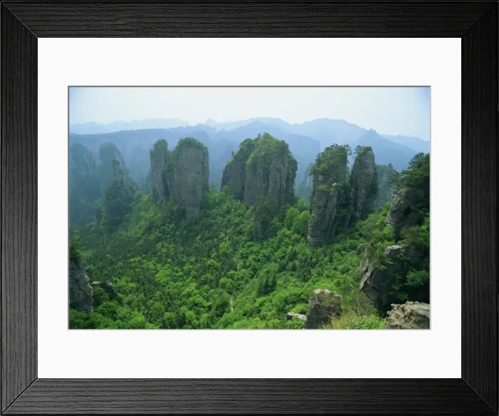 Framed Print : Spectacular limestone outcrops and forested valleys of Zhangjiajie Forest Park in Wulingyuan Scenic Area in Hunan Province, UNESCO World Heritage Site Framed Print : Spectacular limestone outcrops and forested valleys of Zhangjiajie Forest Park in Wulingyuan Scenic Area in Hunan Province, UNESCO World Heritage Site
