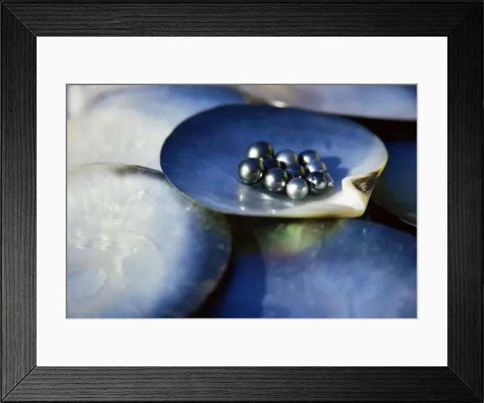 Framed Print : Black pearls, Cook Islands, South Pacific, Pacific Framed Print : Black pearls, Cook Islands, South Pacific, Pacific