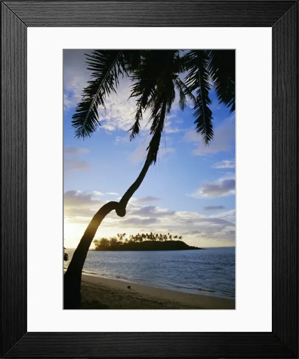 Framed Print : Twisted palm tree, Taakoka Island, Rarotonga, Cook Islands, Polynesia, South Pacific islands Framed Print : Twisted palm tree, Taakoka Island, Rarotonga, Cook Islands, Polynesia, South Pacific islands