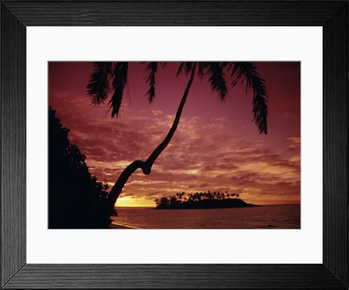 Framed Print : Silhouettes of palm trees and desert island at sunrise, Rarotonga, Cook Islands Framed Print : Silhouettes of palm trees and desert island at sunrise, Rarotonga, Cook Islands