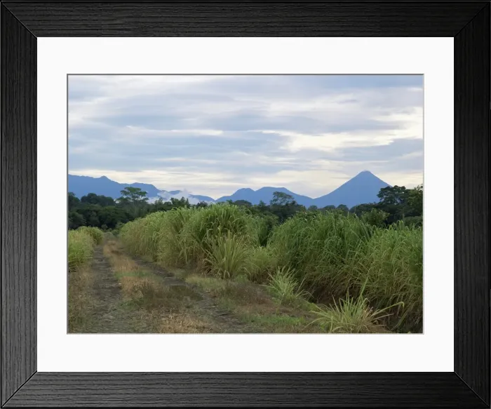 Framed Print : Arenal volcano from afar, Muelle, Alajuela, Costa Rica, Central America Framed Print : Arenal volcano from afar, Muelle, Alajuela, Costa Rica, Central America