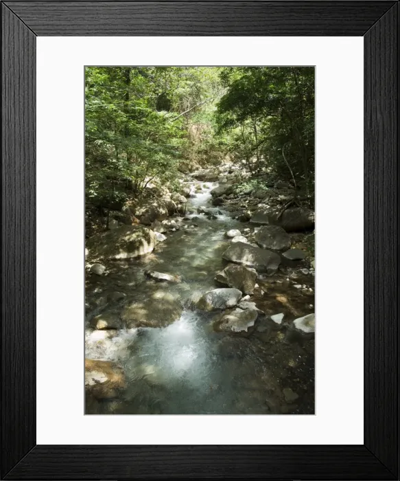 Framed Print : Rincon de la Vieja National Park at foot of Rincon Volcano, Gaunacaste, Costa Rica Framed Print : Rincon de la Vieja National Park at foot of Rincon Volcano, Gaunacaste, Costa Rica