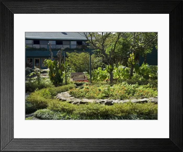 Framed Print : Monteverde Lodge, Monteverde, Costa Rica, Central America