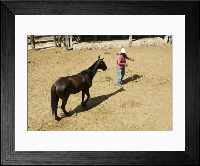 Framed Print : Horses, Hacienda Guachipelin, near Rincon de la Vieja National Park, Guanacaste Framed Print : Horses, Hacienda Guachipelin, near Rincon de la Vieja National Park, Guanacaste