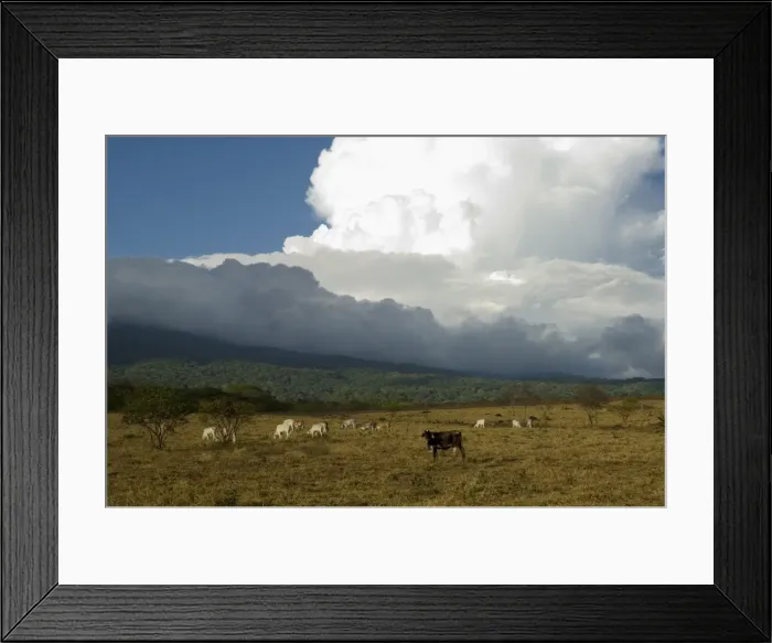 Framed Print : Clouds over the Rincon Volcano, near Rincon de la Vieja National Park, Guanacaste Framed Print : Clouds over the Rincon Volcano, near Rincon de la Vieja National Park, Guanacaste