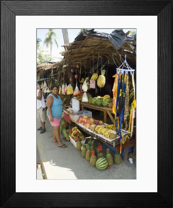 Framed Print : Food vendors, Manuel Antonio, Costa Rica, Central America Framed Print : Food vendors, Manuel Antonio, Costa Rica, Central America