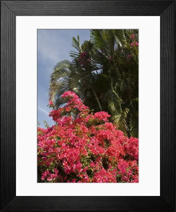 Framed Print : Hotel Punta Islita, Punta Islita, Nicoya Pennisula, Pacific Coast, Costa Rica Framed Print : Hotel Punta Islita, Punta Islita, Nicoya Pennisula, Pacific Coast, Costa Rica
