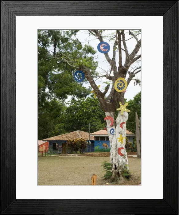 Framed Print : Decorated trees and buildings in Punta Islita, Nicoya Pennisula, Pacific Coast Framed Print : Decorated trees and buildings in Punta Islita, Nicoya Pennisula, Pacific Coast