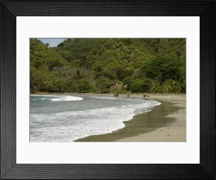 Framed Print : Horses on beach at Punta Islita, Nicoya Pennisula, Pacific Coast, Costa Rica Framed Print : Horses on beach at Punta Islita, Nicoya Pennisula, Pacific Coast, Costa Rica