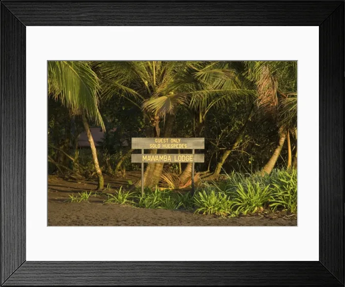 Framed Print : Entrance to Mawamba Eco Lodge from Tortuguero Beach, Caribbean Coast, Tortuguero National Park Framed Print : Entrance to Mawamba Eco Lodge from Tortuguero Beach, Caribbean Coast, Tortuguero National Park