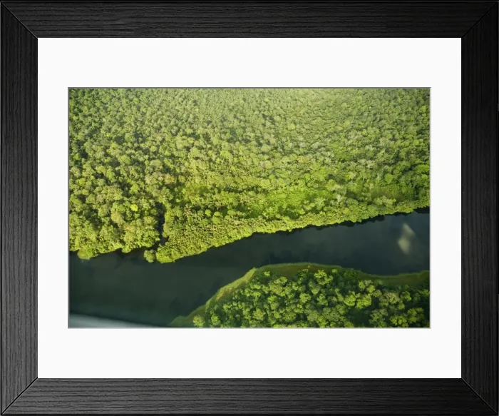Framed Print : River in Tortuguero National Park, Costa Rica, Central America Framed Print : River in Tortuguero National Park, Costa Rica, Central America