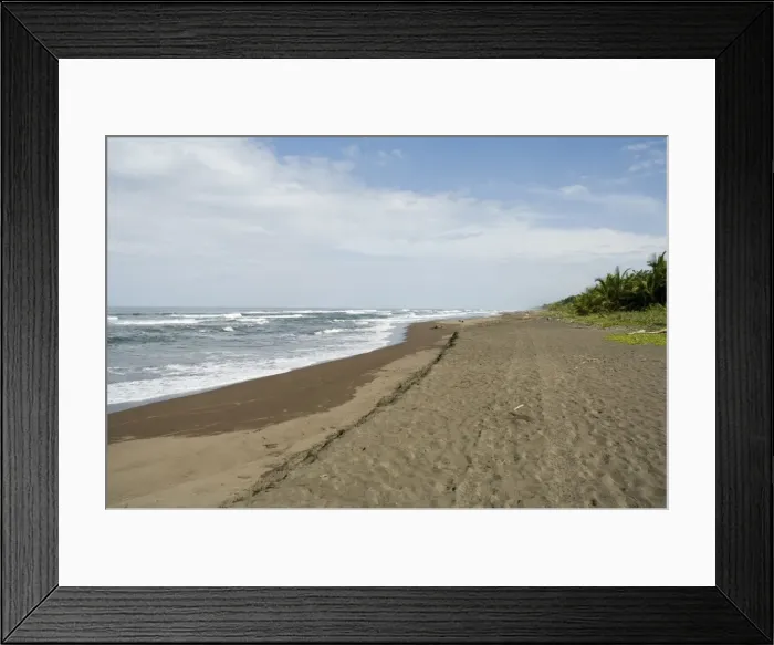 Framed Print : Tortuguero Beach, Caribbean Coast, Tortuguero National Park, Costa Rica, Central America Framed Print : Tortuguero Beach, Caribbean Coast, Tortuguero National Park, Costa Rica, Central America