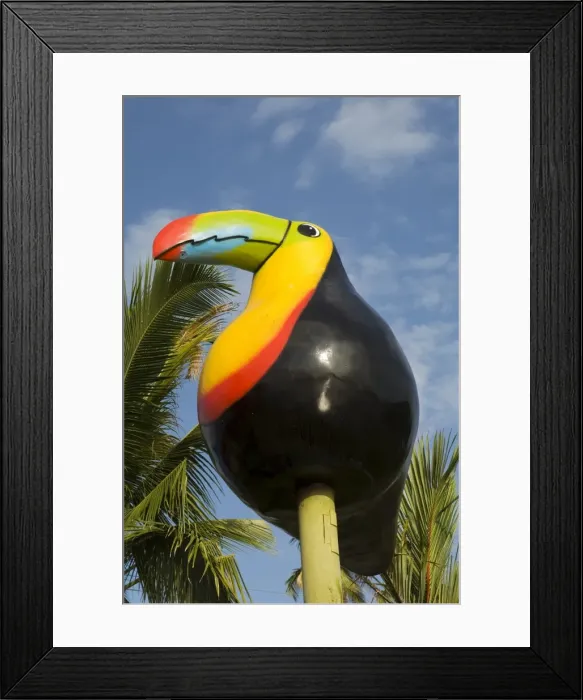 Framed Print : Giant statue of Toucan at the dock at the town of Tortuguero, Costa Rica, Central America Framed Print : Giant statue of Toucan at the dock at the town of Tortuguero, Costa Rica, Central America