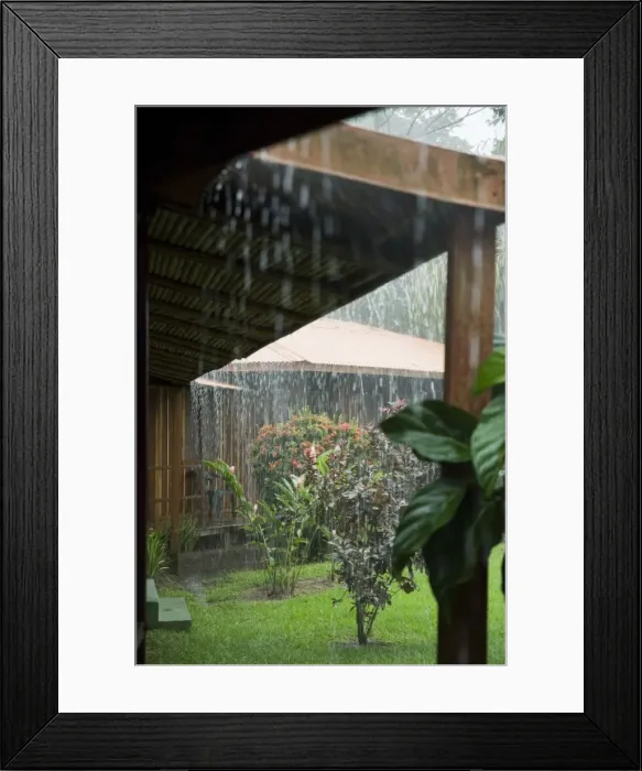 Framed Print : Torrential rain, Tortuguero National Park, Caribbean Coast, Costa Rica, Central America Framed Print : Torrential rain, Tortuguero National Park, Caribbean Coast, Costa Rica, Central America