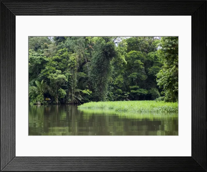 Framed Print : On the back waters at Tortuguero, Costa Rica, Central America Framed Print : On the back waters at Tortuguero, Costa Rica, Central America
