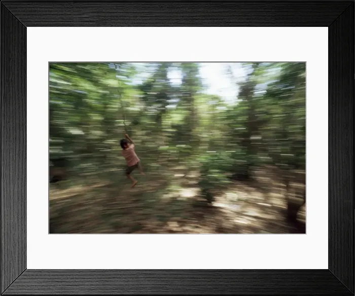 Framed Print : Local boy swings on vine, Corcovado National Park, Peninsula de Osa, Costa Rica Framed Print : Local boy swings on vine, Corcovado National Park, Peninsula de Osa, Costa Rica