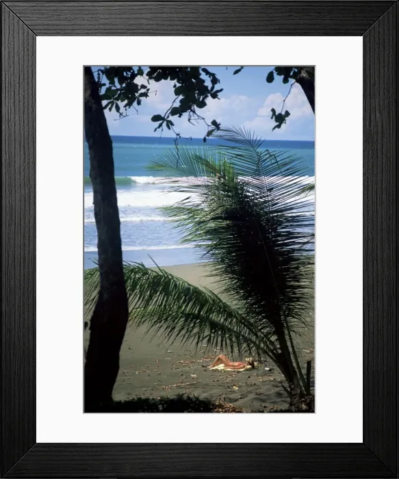 Framed Print : Beach tan on the Pacific Ocean, Corcovado National Park, Peninsula de Osa Framed Print : Beach tan on the Pacific Ocean, Corcovado National Park, Peninsula de Osa