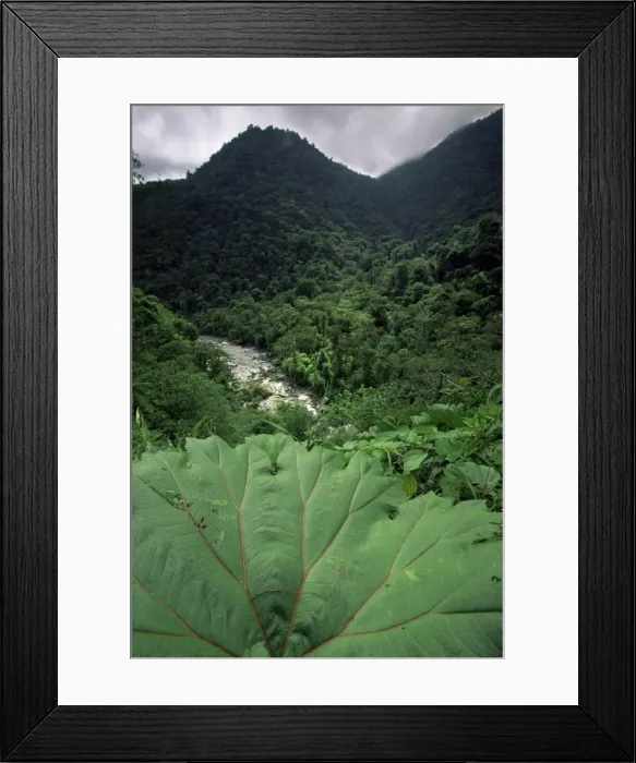 Framed Print : Rio Grande de Orosi, Costa Rica, Central America Framed Print : Rio Grande de Orosi, Costa Rica, Central America
