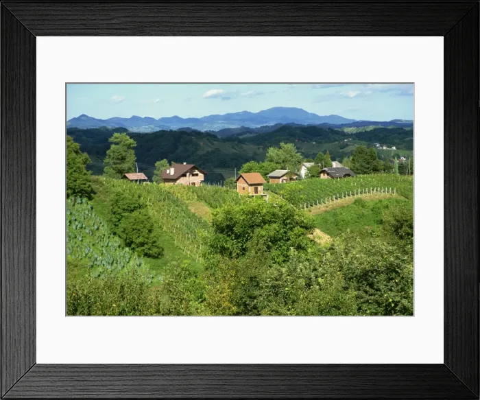 Framed Print : Vineyards below small houses, with hills in the background in the Zagorje region of Croatia Framed Print : Vineyards below small houses, with hills in the background in the Zagorje region of Croatia