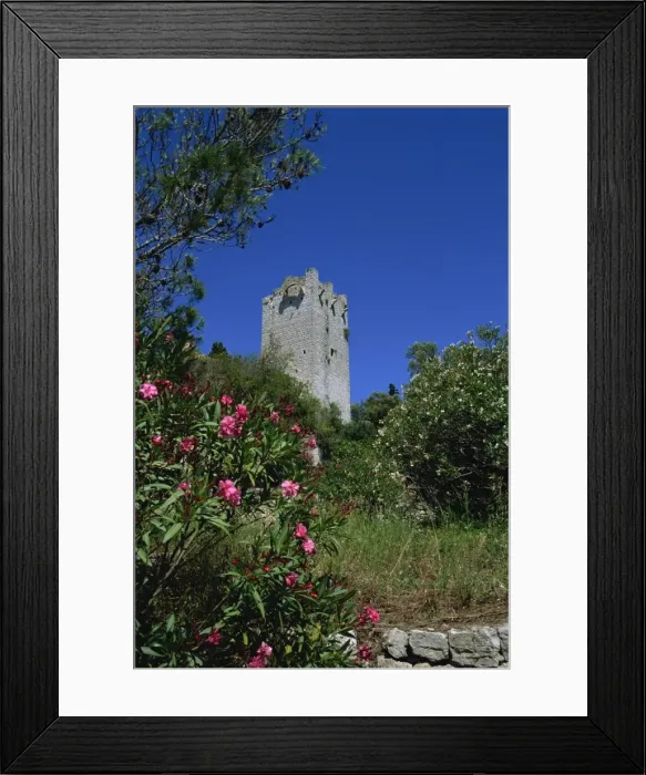 Framed Print : Benedictine Monastery, St. Marys Island, Mljet Island, Dalmatia, Croatia, Europe Framed Print : Benedictine Monastery, St. Marys Island, Mljet Island, Dalmatia, Croatia, Europe
