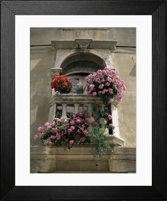 Framed Print : Floral balconies, Rovinj, Croatia, Europe Framed Print : Floral balconies, Rovinj, Croatia, Europe