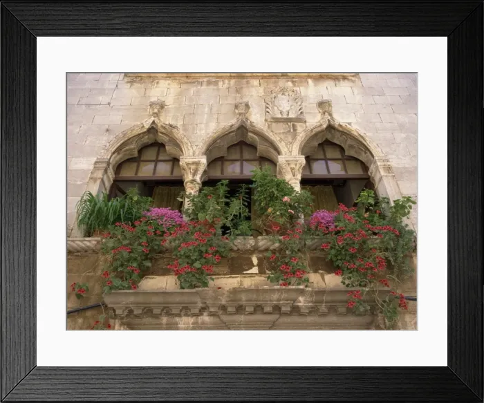 Framed Print : Close-up of ornate window arches with pots of oxalis and geraniums on the balcony at Porec Framed Print : Close-up of ornate window arches with pots of oxalis and geraniums on the balcony at Porec