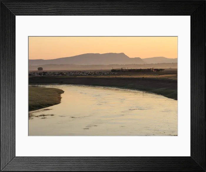 Framed Print : River, gers and herd of goats, sheep and cows with stock pen, misty dawn in summer