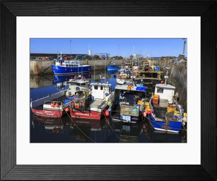 Framed Print : Colourful fishing boats in harbour on a sunny summer evening, Seahouses, Northumberland Framed Print : Colourful fishing boats in harbour on a sunny summer evening, Seahouses, Northumberland