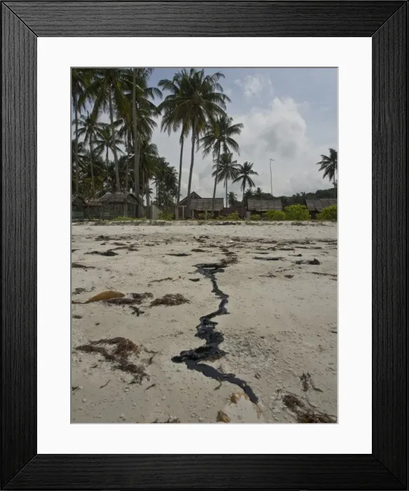 Framed Print : Tar pollution on beach due to oil spillages from shipping in Bintan Island, Sumatra Framed Print : Tar pollution on beach due to oil spillages from shipping in Bintan Island, Sumatra