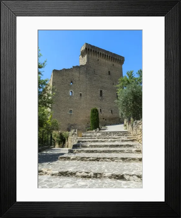 Framed Print : Chateuneuf du Pape, Castle, Vaucluse, Provence Alpes Cote d Azur region, France, Europe Framed Print : Chateuneuf du Pape, Castle, Vaucluse, Provence Alpes Cote d Azur region, France, Europe