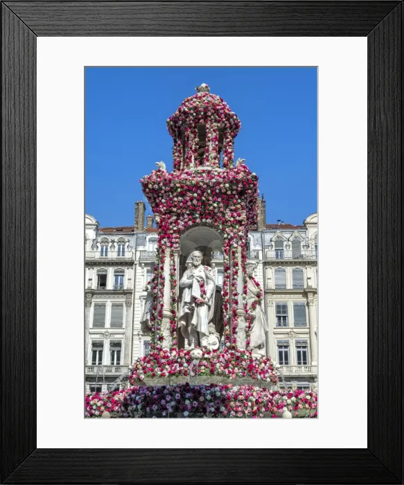 Framed Print : Jacobins Square during the 17th World Convention of Rose Societies in 2015, Lyon Framed Print : Jacobins Square during the 17th World Convention of Rose Societies in 2015, Lyon
