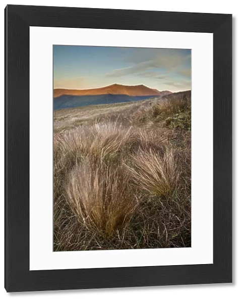 Grass and mountain peak at sunrise, Conor Pass, Dingle Peninsula, County Kerry, Munster