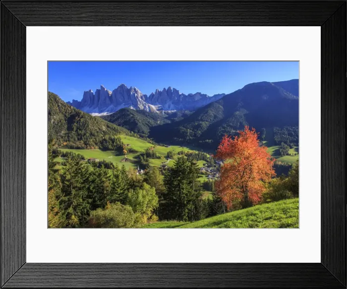 Framed Print : Colorful autumn trees frame the group of Odle and the village of St. Magdalena, Funes Valley Framed Print : Colorful autumn trees frame the group of Odle and the village of St. Magdalena, Funes Valley
