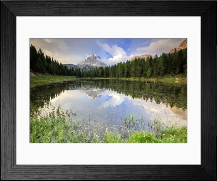 Framed Print : Trees reflected in Lake Antorno at sunset, Auronzo of Cadore, Veneto Sesto Dolomites Framed Print : Trees reflected in Lake Antorno at sunset, Auronzo of Cadore, Veneto Sesto Dolomites