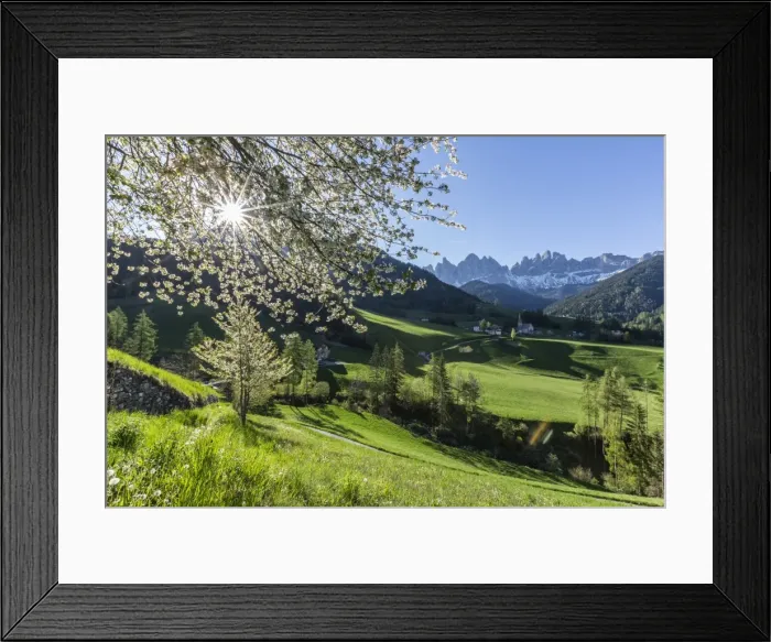Framed Print : Flowering frames the village of St. Magdalena and the Odle group, Funes Valley, South Tyrol Framed Print : Flowering frames the village of St. Magdalena and the Odle group, Funes Valley, South Tyrol