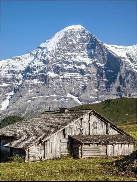 Wood hut with Mount Eiger in the background, Mannlichen, Grindelwald, Bernese Oberland