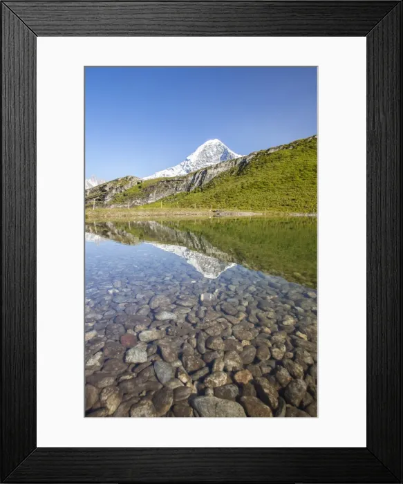 Framed Print : Mount Eiger reflected in a creek, Mannlichen, Grindelwald, Bernese Oberland, Canton of Bern Framed Print : Mount Eiger reflected in a creek, Mannlichen, Grindelwald, Bernese Oberland, Canton of Bern