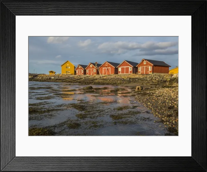 Framed Print : The colors of dawn light up the houses of fishermen, Flatanger, Trondelag, Norway Framed Print : The colors of dawn light up the houses of fishermen, Flatanger, Trondelag, Norway