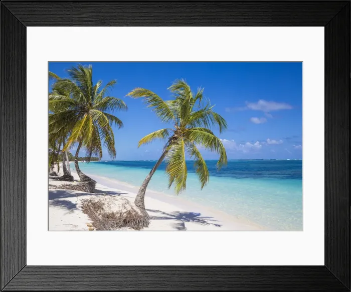Framed Print : Playa Cabeza de Toro, Punta Cana, Dominican Republic, West Indies, Caribbean, Central Framed Print : Playa Cabeza de Toro, Punta Cana, Dominican Republic, West Indies, Caribbean, Central